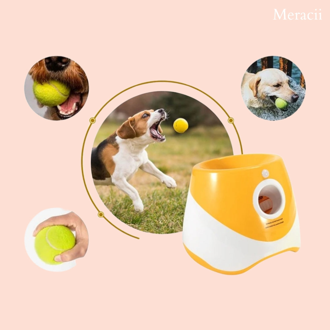 GoFetch